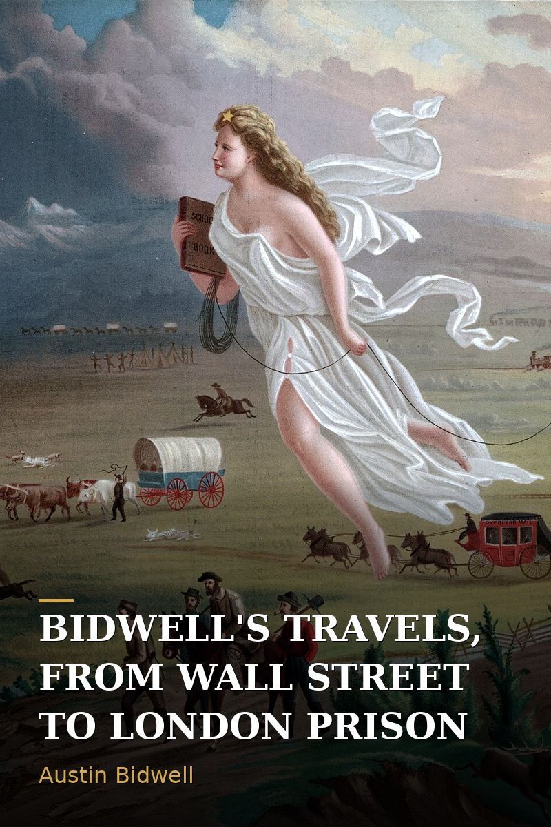 Bidwell's Travels, from Wall Street to London Prison: Fifteen Years in Solitude