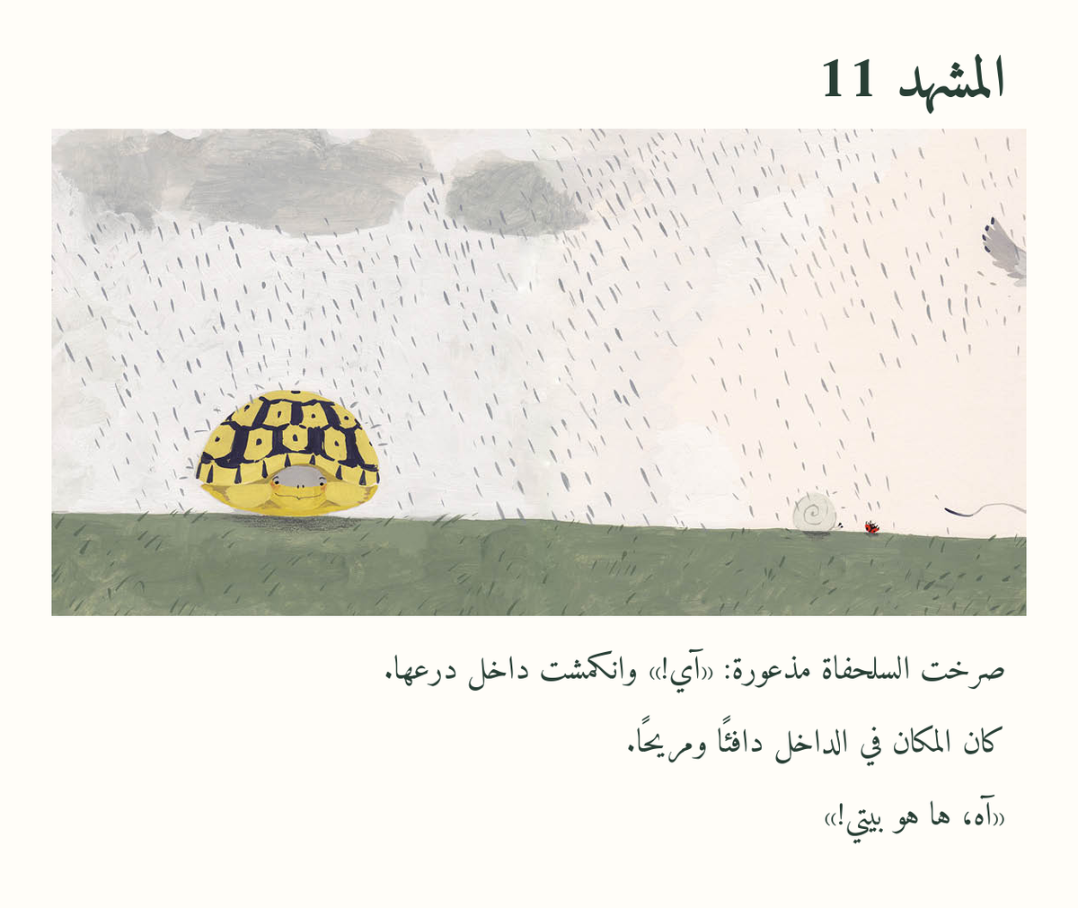 السلحفاة تبحث عن بيتها — معاينة مصوّرة 11