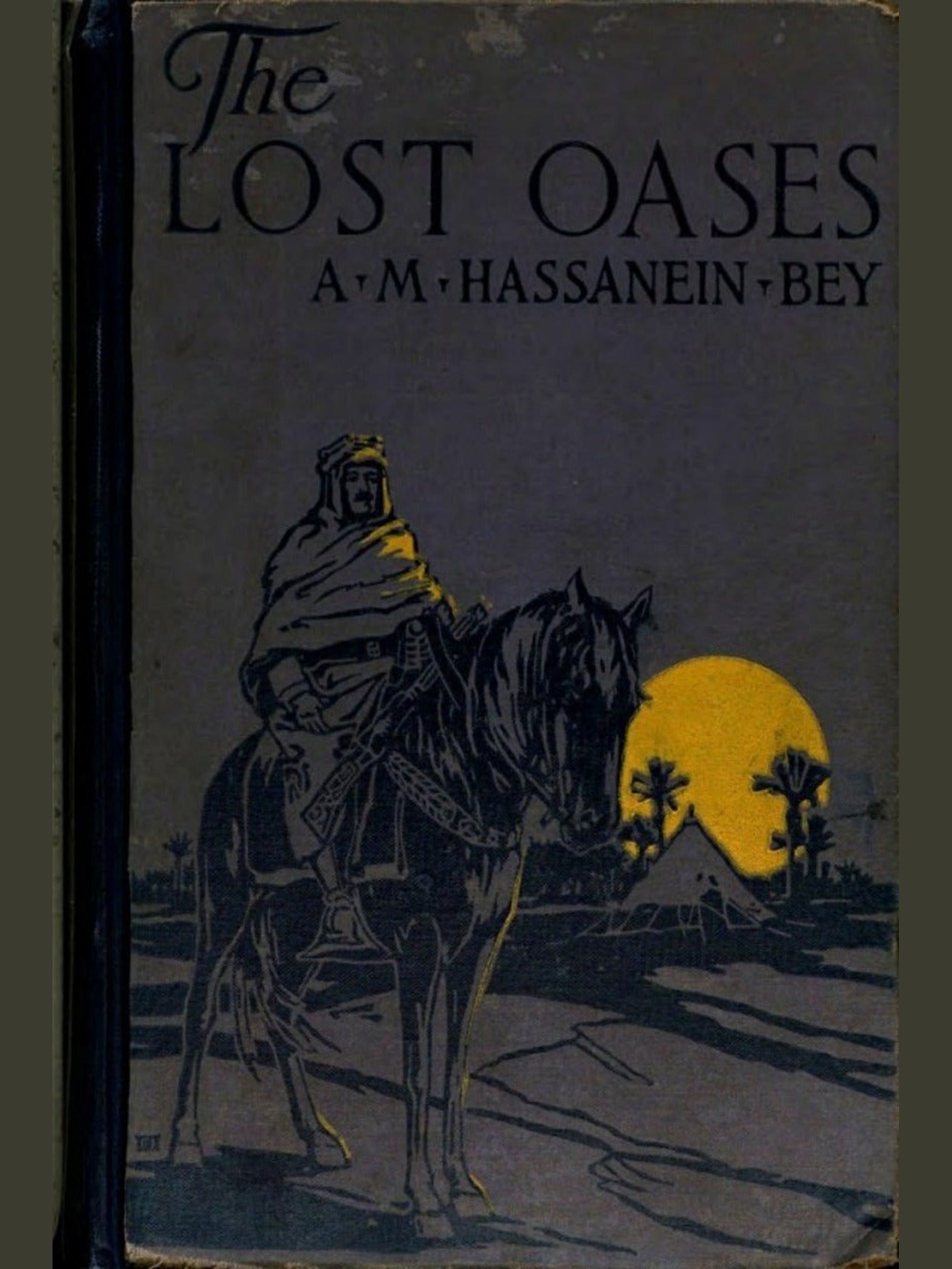 Cover of The Lost Oases — Ahmad Muhammad Hassanein Bey