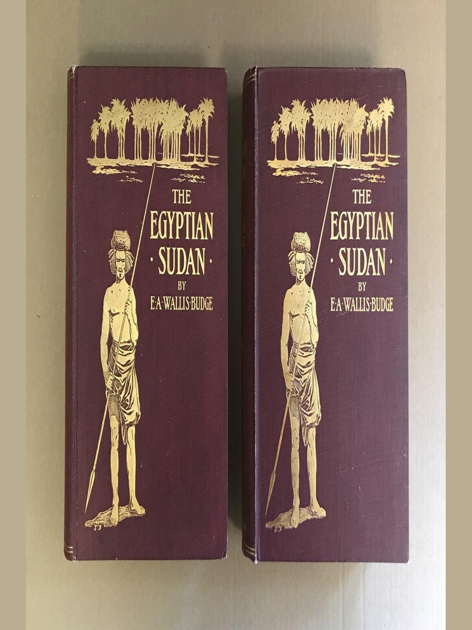 Cover of The Egyptian Sudan: Its History and Monuments Vol. 1 — E.A. Wallis Budge