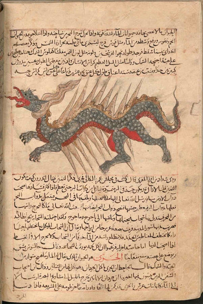 رسم التنين الأصلي من مخطوطة عجائب المخلوقات
