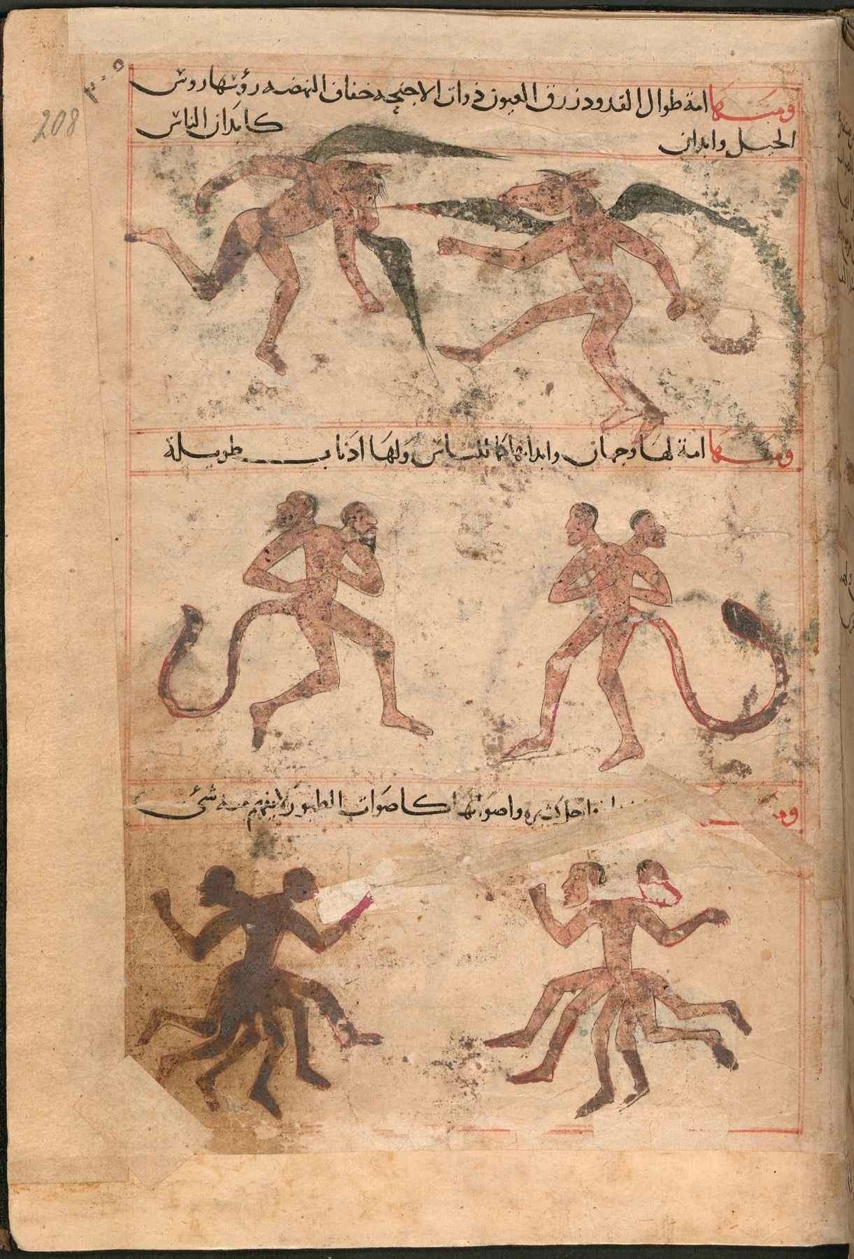رسوم الكائنات العجيبة من مخطوطة عجائب المخلوقات
