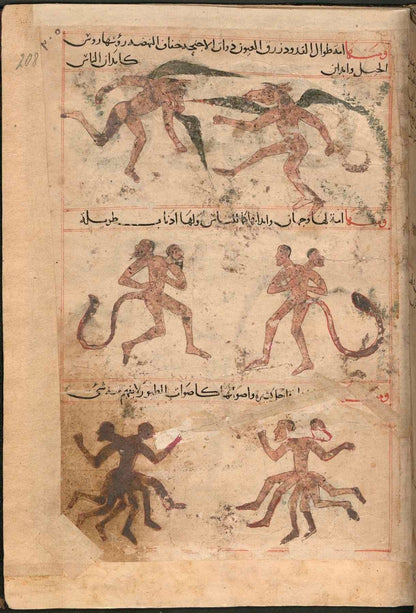 رسوم الكائنات العجيبة من مخطوطة عجائب المخلوقات
