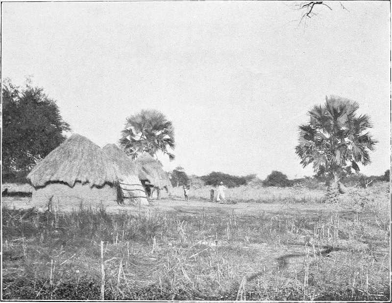Original 1905 photograph of Akunere, a Shilluk village