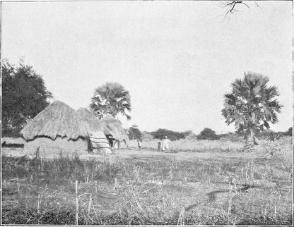 Original 1905 photograph of Akunere, a Shilluk village