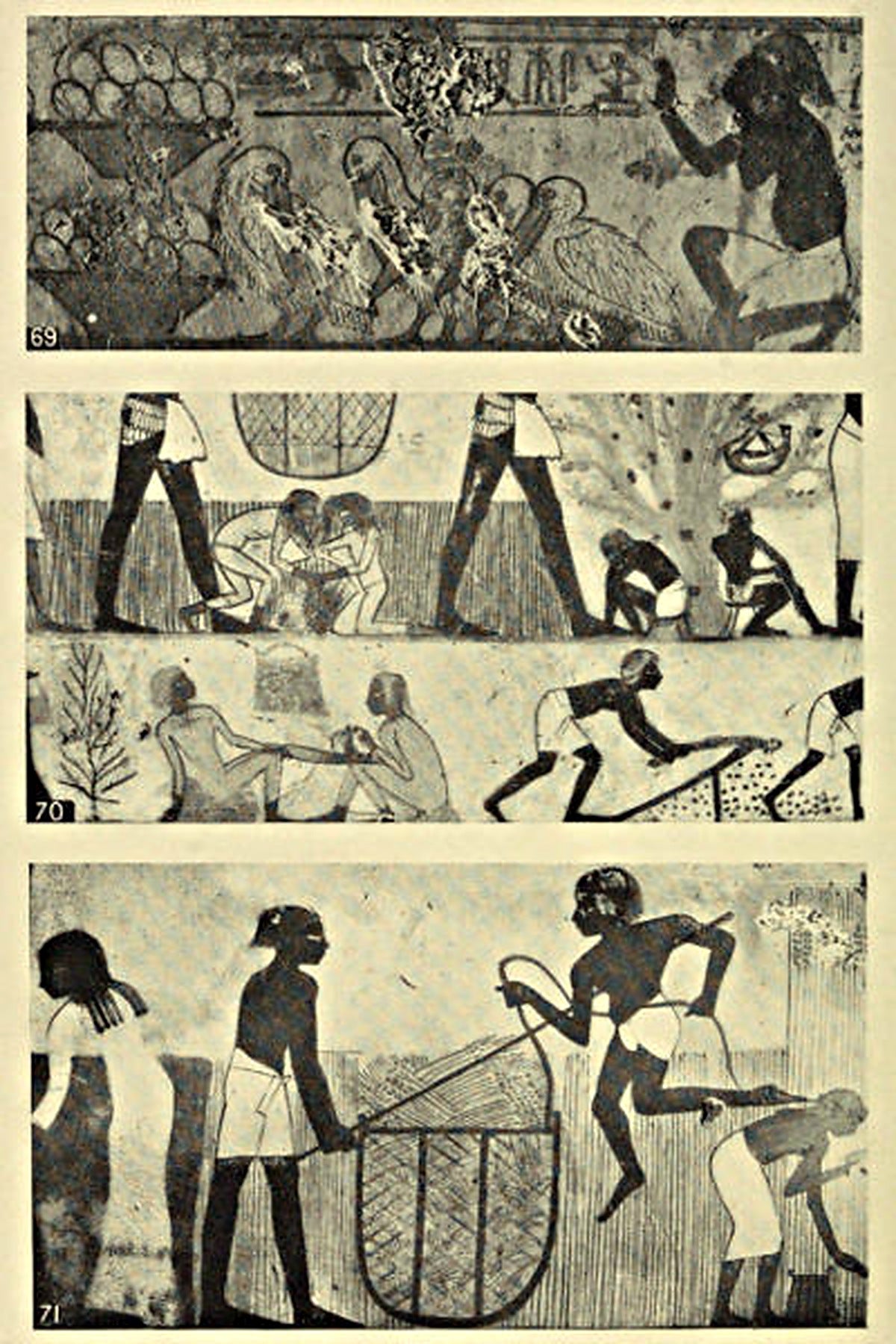 Ancient Egyptian painted scenes — original illustrations