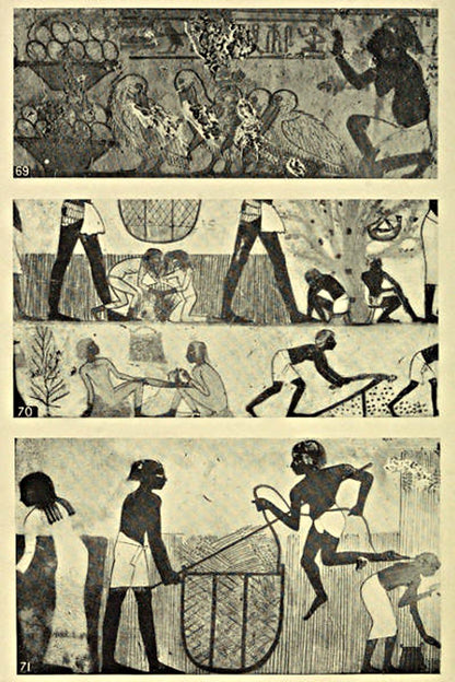 Ancient Egyptian painted scenes — original illustrations