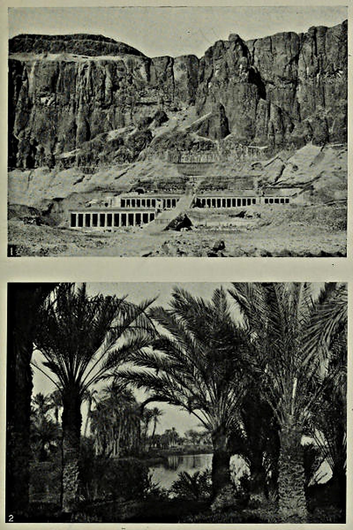 Temple below the cliffs and palms beside a canal — original illustrations