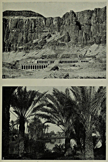 Temple below the cliffs and palms beside a canal — original illustrations
