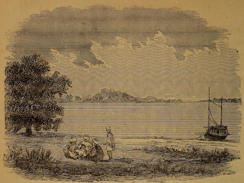 Original illustration of the White Nile