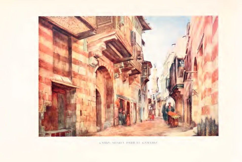Cairo street near Bab Zuweyleh, colour plate