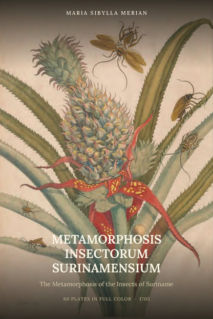 Metamorphosis Insectorum Surinamensium by Maria Sibylla Merian