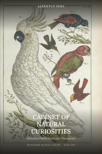 Cabinet of Natural Curiosities: Selected Plates from the Thesaurus by Albertus Seba