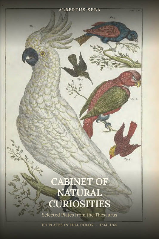 Cabinet of Natural Curiosities: Selected Plates from the Thesaurus by Albertus Seba