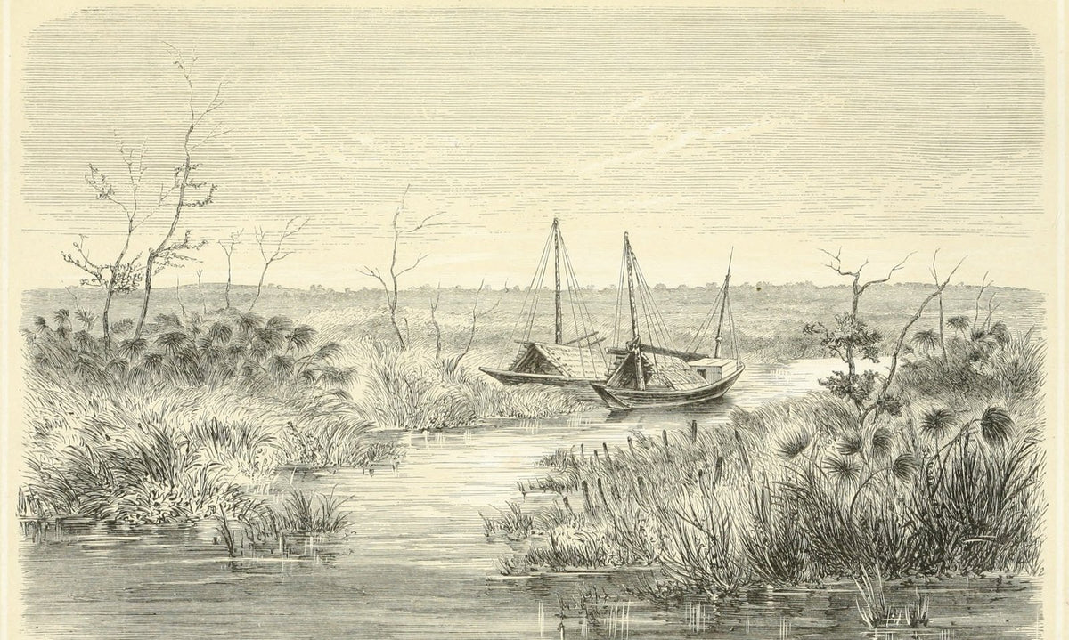 مشرع الرق، بحيرة منبع نهر الغزال – اللوحة الافتتاحية، هويغلين 1869 (ملك عام)