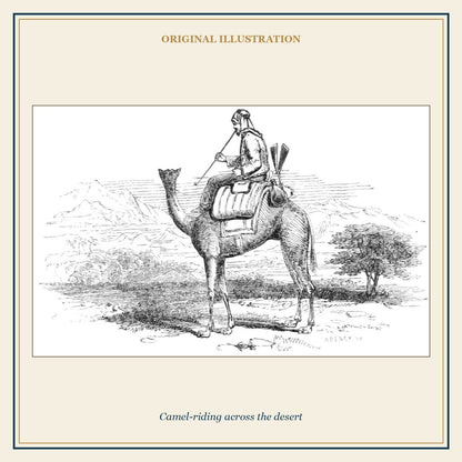 Original nineteenth-century illustration of camel riding across the desert