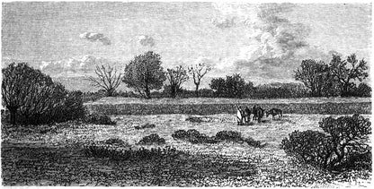 khala of mintahoues — original historical illustration from Journey in Taka