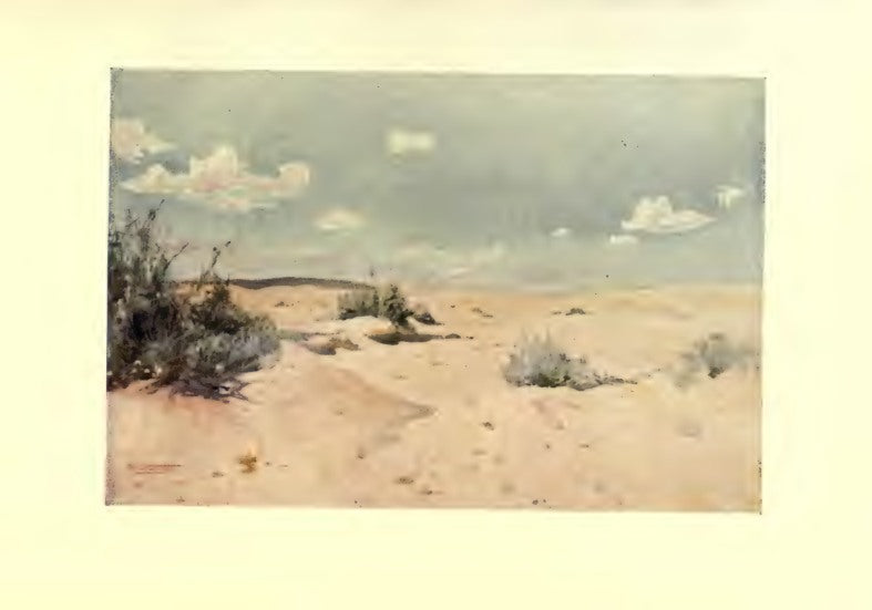 A Desert Study At Tel-El-Kebir — R. Talbot Kelly / دراسة صحراوية في التل الكبير — ر. تالبوت كيلي
