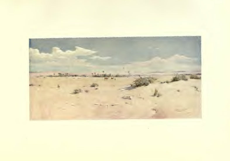 Tel-El-Kebir — R. Talbot Kelly / التل الكبير — ر. تالبوت كيلي