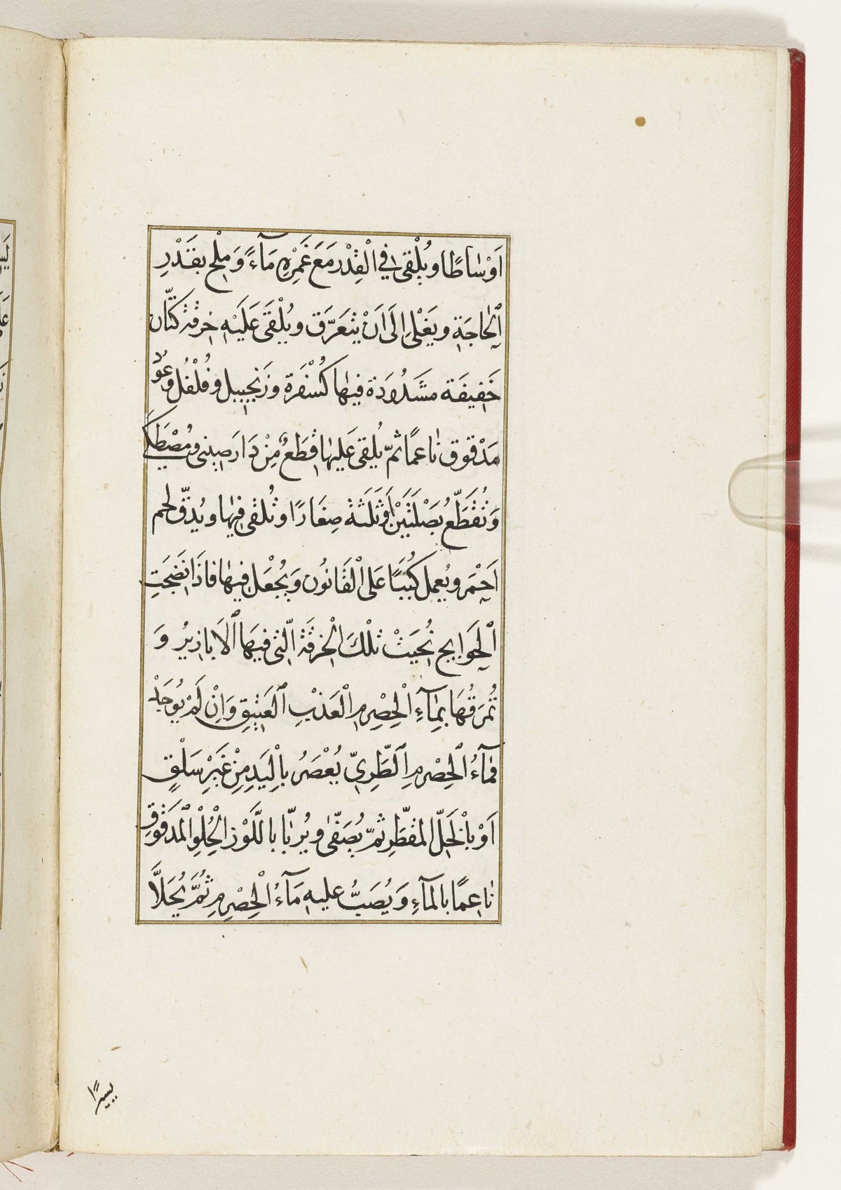 صفحة مخطوطة من كتاب الطبيخ