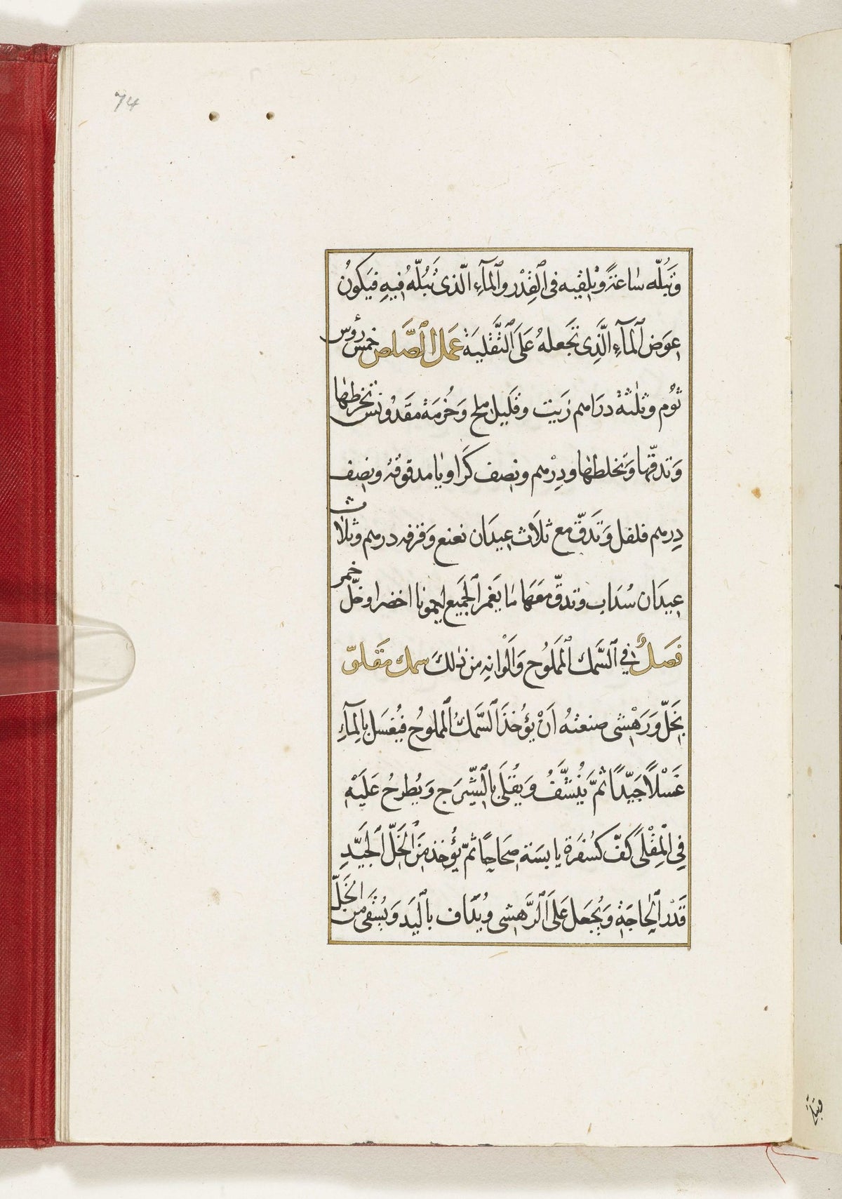صفحة تاريخية مصورة من كتاب الطبيخ