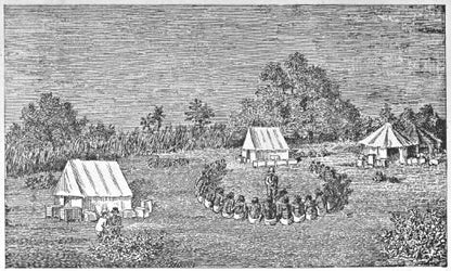 Original illustration of Josiah Williams attending to Arab ailments