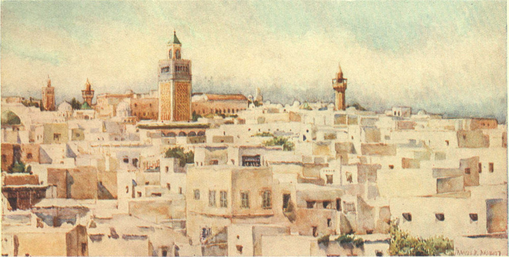 تونس