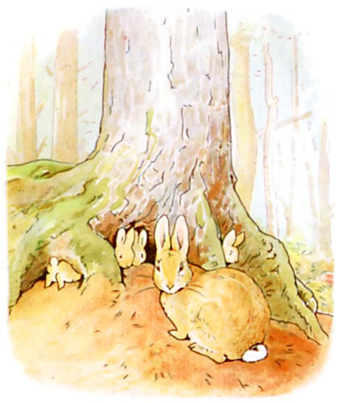 Original Beatrix Potter illustration from The Tale of Peter Rabbit
