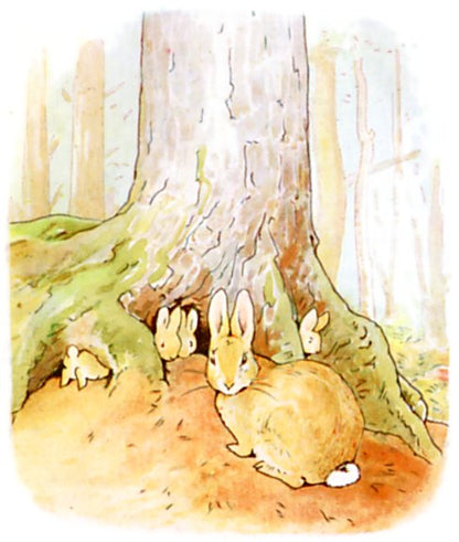 Original Beatrix Potter illustration from The Tale of Peter Rabbit