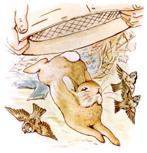 Original Beatrix Potter illustration from The Tale of Peter Rabbit