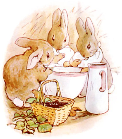 Original Beatrix Potter illustration from The Tale of Peter Rabbit