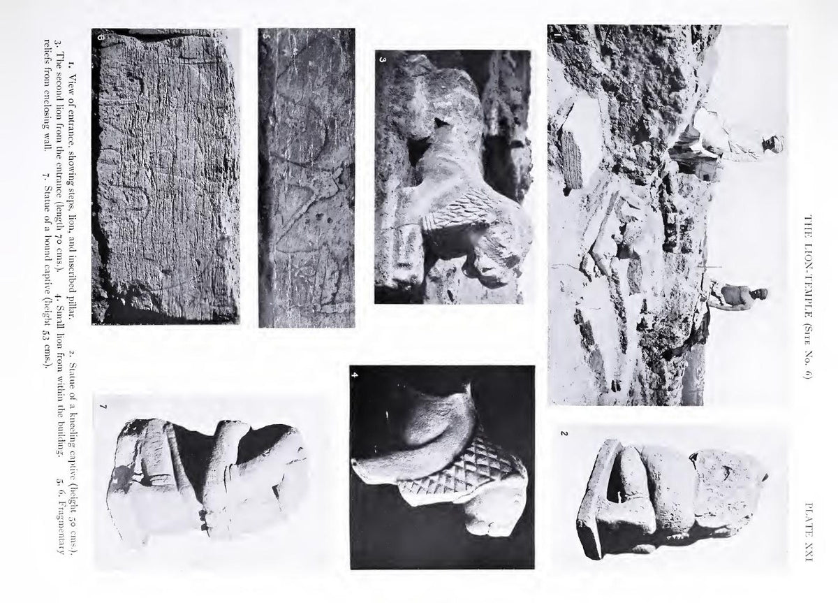 Original images from the Lion Temple at Meroë