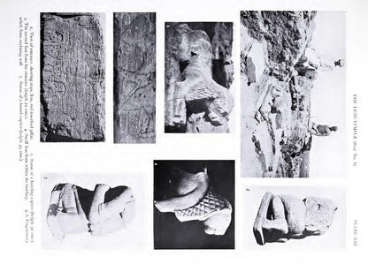 Original images from the Lion Temple at Meroë