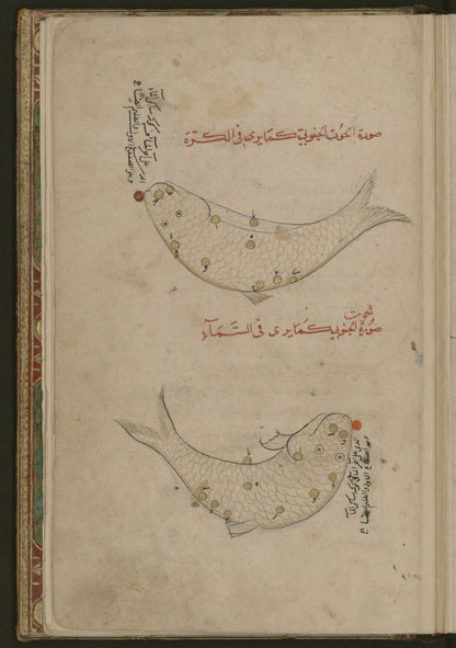 رسوم الحوت في مخطوطة صور الكواكب
