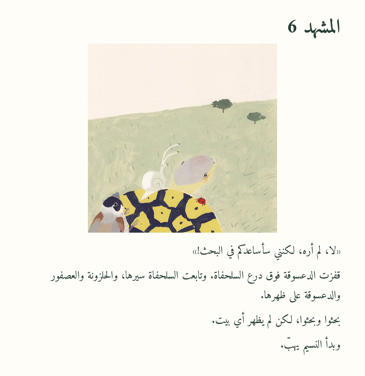 السلحفاة تبحث عن بيتها — معاينة مصوّرة 06