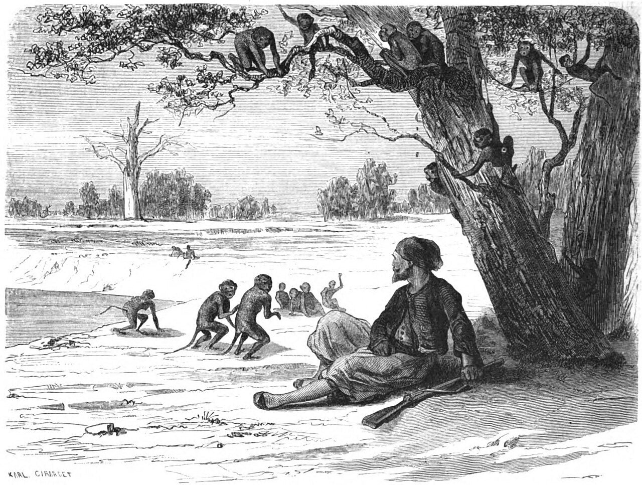 Monkeys in the Sudanese forest, original 1866 engraving