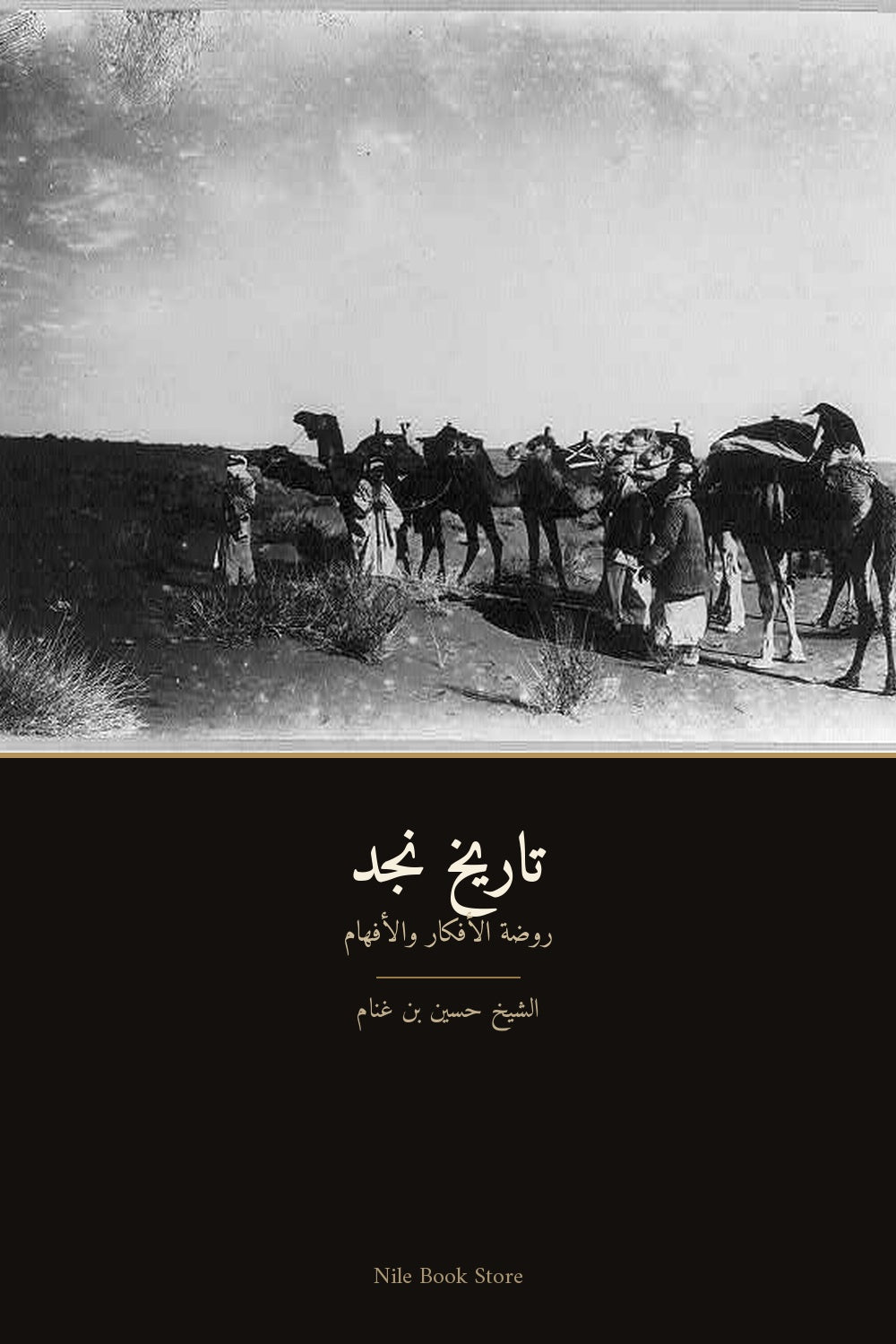 تاريخ نجد — روضة الأفكار والأفهام