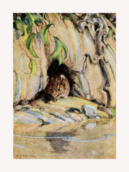 Original Paul Bransom illustration from The Wind in the Willows